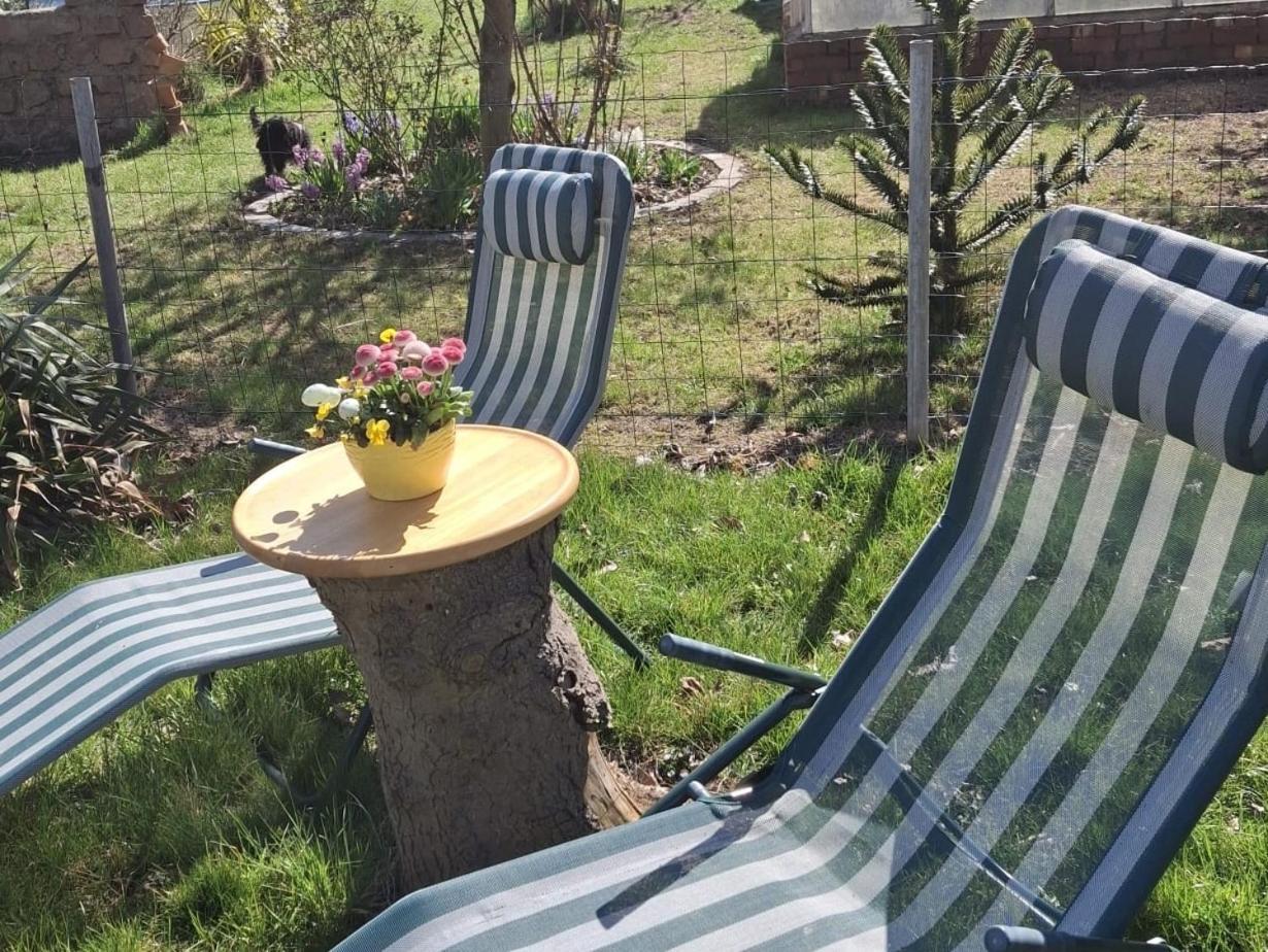 Ferienwohnung Rosengarten Ballenstedt Esterno foto